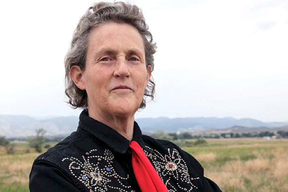 Temple Grandin's Investor